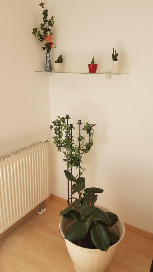 Evi'S Apartment Ratisbonne Extérieur photo